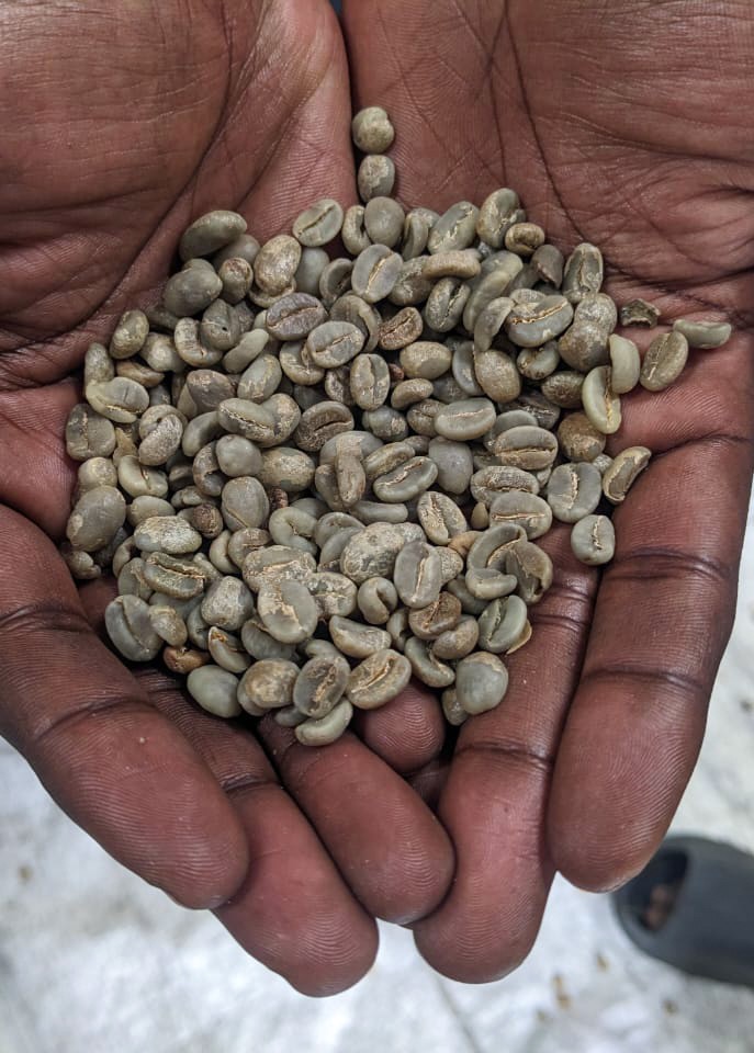 Grains de café